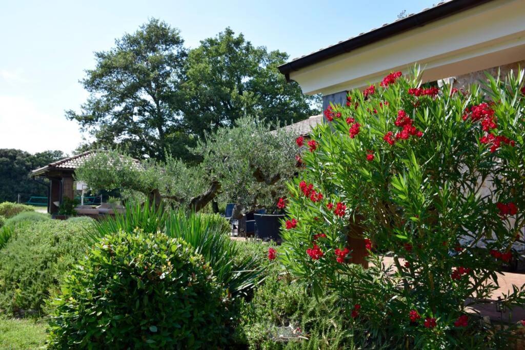 Villa Birds House Rovinj Exterior foto