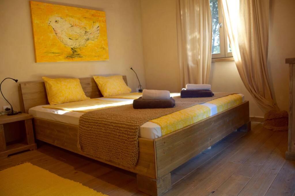 Villa Birds House Rovinj Exterior foto